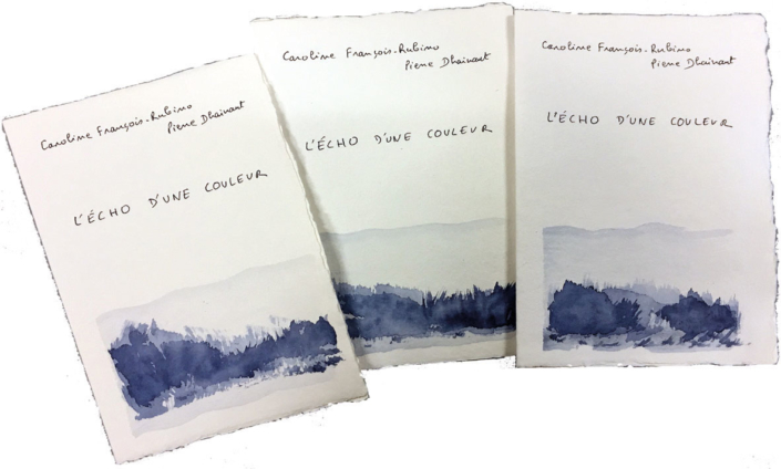 L’écho d’une couleur – Pierre Dhainaut et Caroline François-Rubino – Collection Jardins sans rives – 6 exemplaires sur vélin Moulin Richard de Bas – 2019